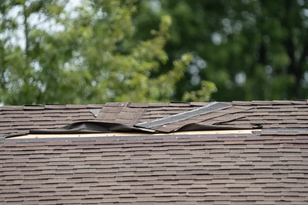 Roof Shingles Damage by a Storm