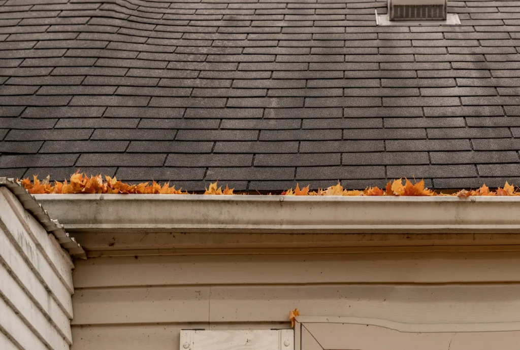 Roofing Wear and Tear