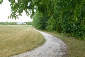 Roofing Services Smithton IL