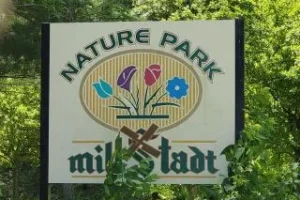 Roofing Services near Millstadt IL